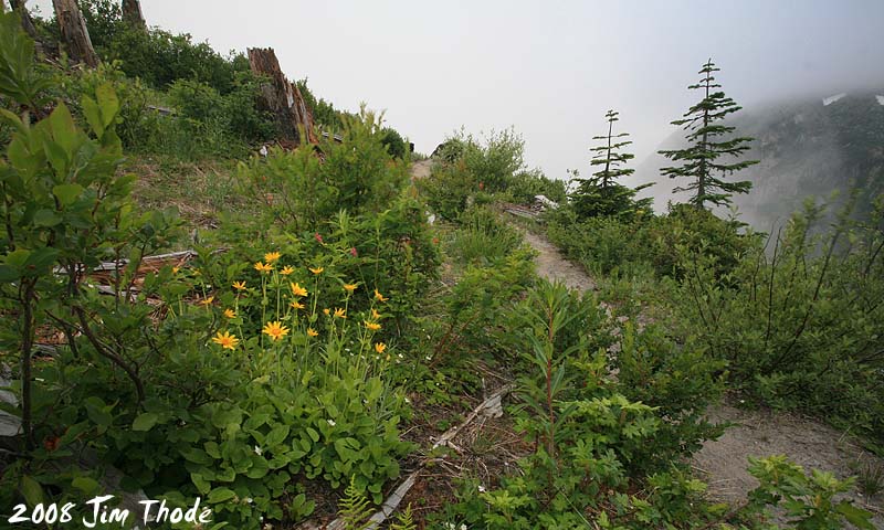 #1 Divide Trail