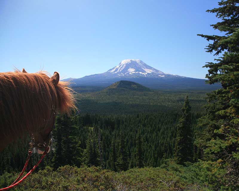 Rojo/Mt Adams