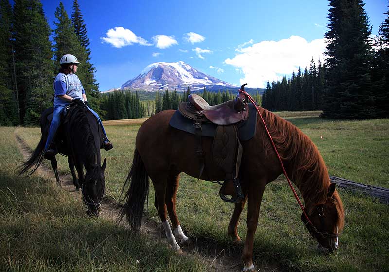 Muddy Meadow/Mt Adams