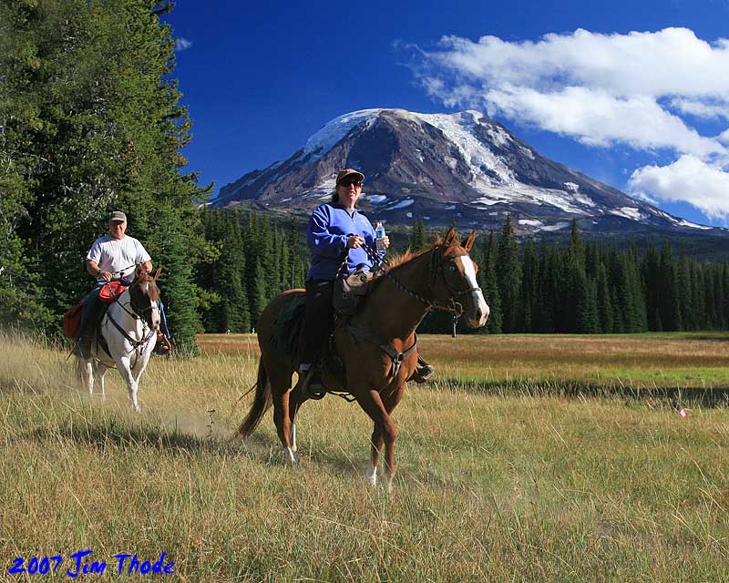 Muddy Meadow/Mt Adams