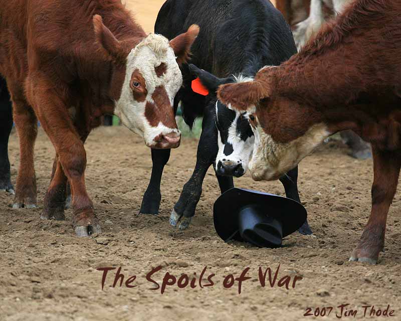 The Soils of War
