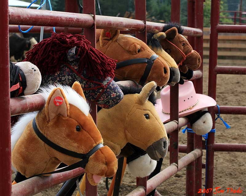 Select a different eager horse from a very special corral and.......