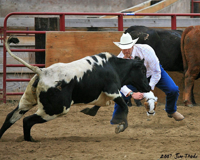 Risk life and limb cutting cows with these stick horses.  Just for the fun of it.