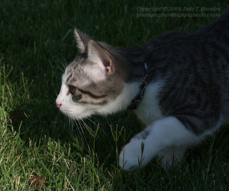Buster - IMG_1714.JPG
