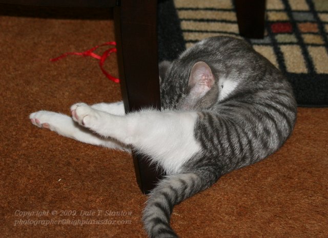 OUCH! - IMG_1783.JPG