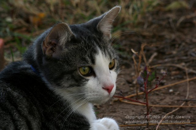 Buster - IMG_6510.JPG