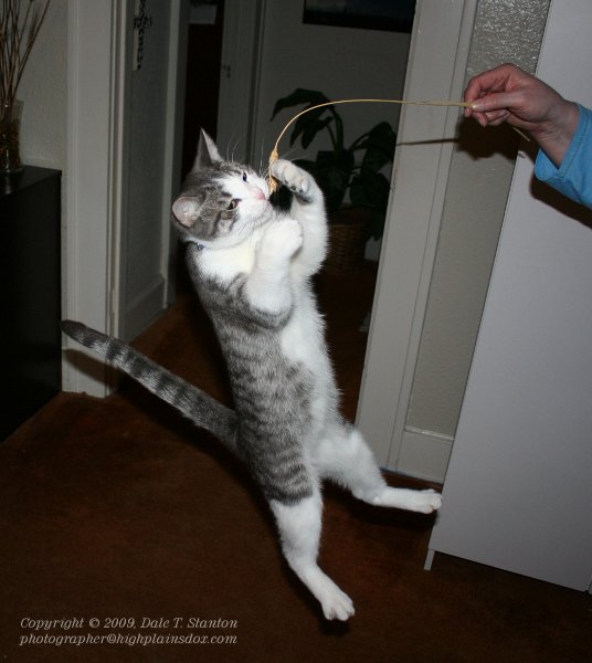 Got It - IMG_6531.JPG
