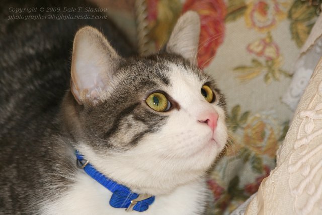 Lookin' Up - IMG_6574.JPG