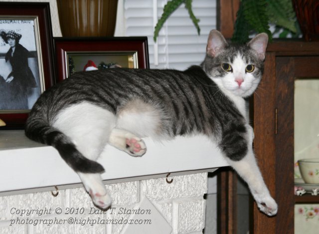 Buster - IMG_7268.JPG