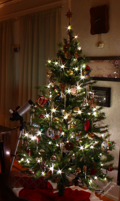 Our Tree - IMG_9174.JPG