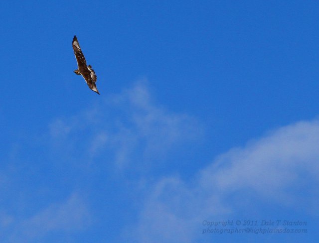 Harrier Clouds - IMG_9575.JPG