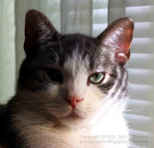 Buster Portrait - IMG_9746.JPG