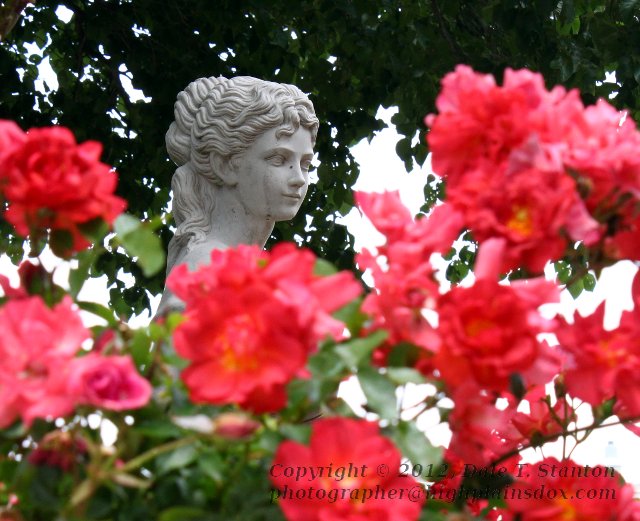 Rose Statue - IMG_9457.JPG