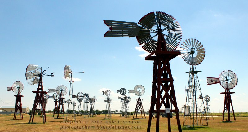 Windmill Farm - IMG_9873.JPG