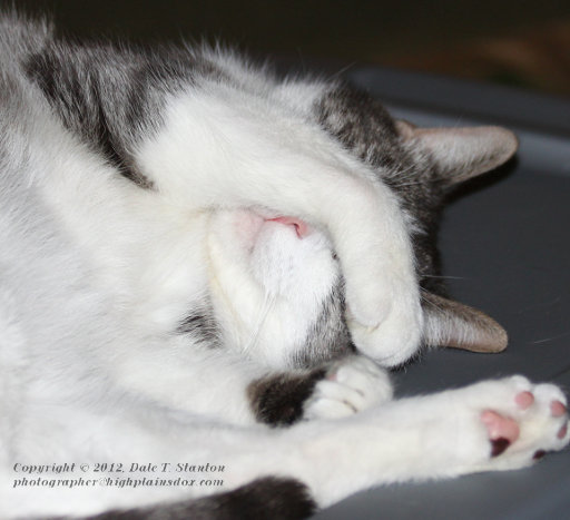 Go Away - IMG_2573.JPG
