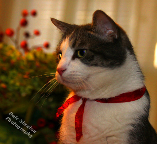 Buster Pose - IMG_3509.JPG