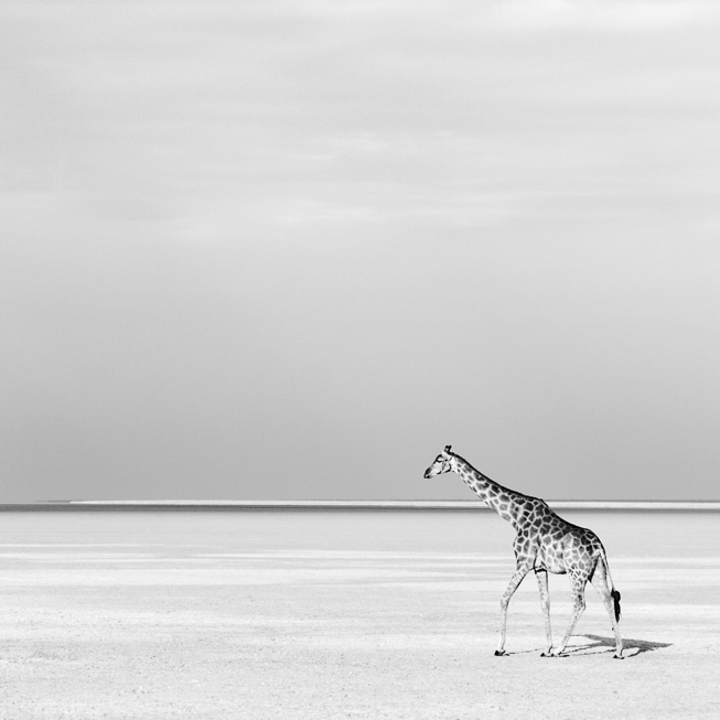Etosha