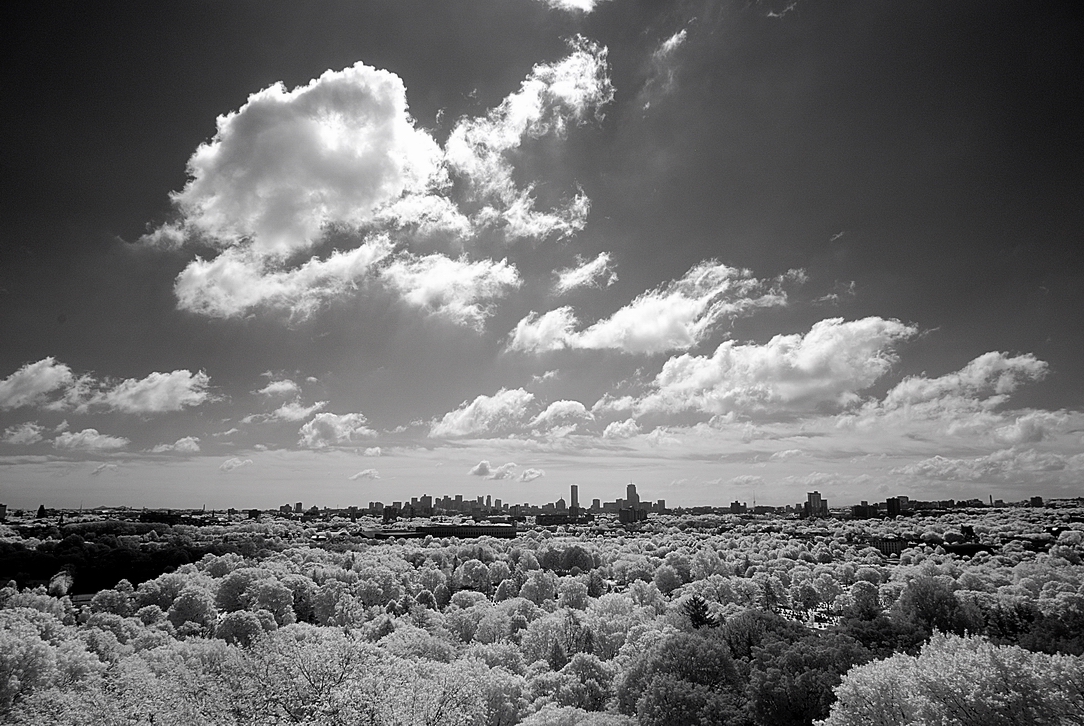 Resize of _DSC3369.jpg