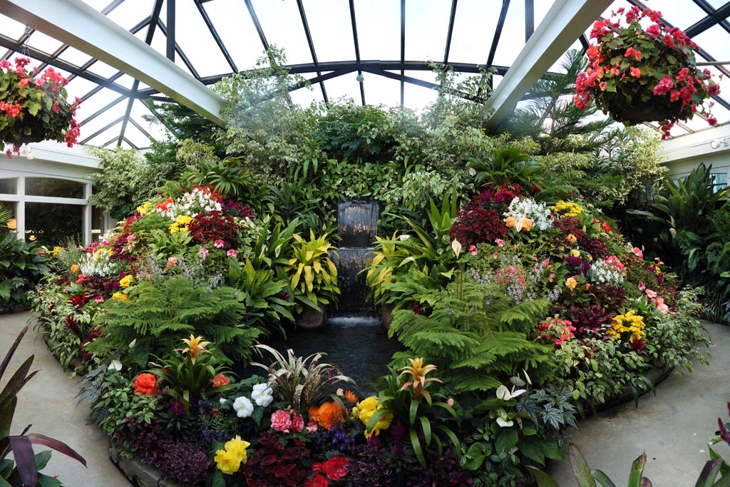 The Flower Room