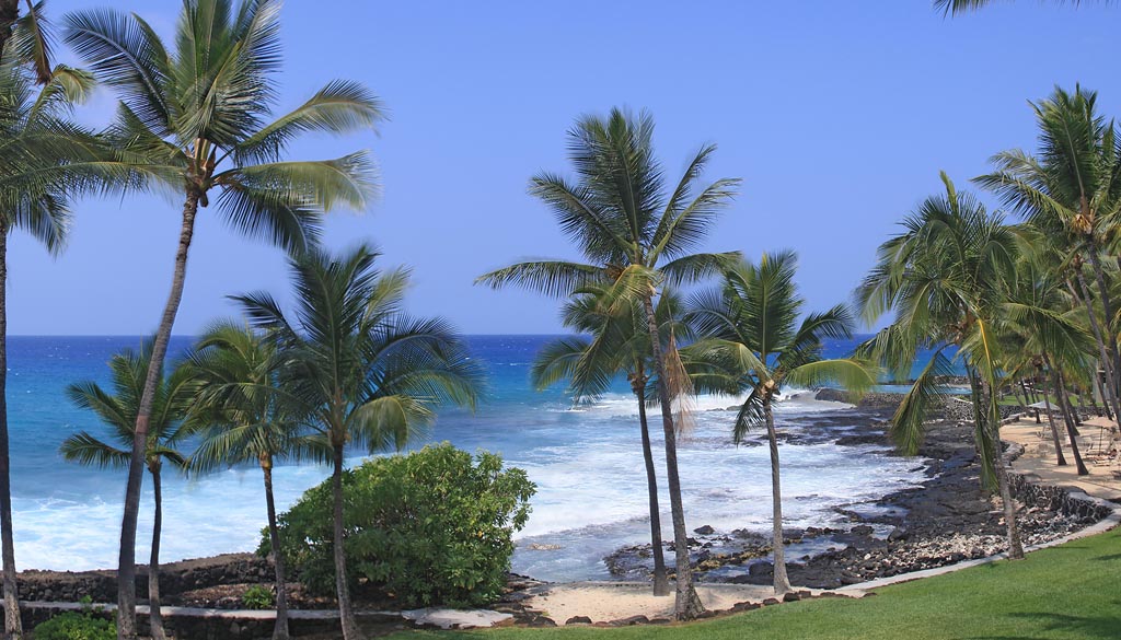 Kona Panorama