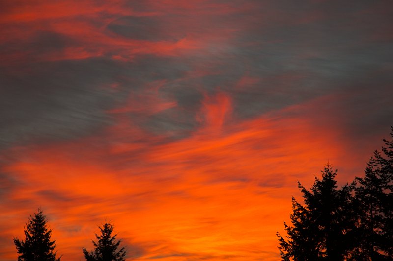 Sunset painting