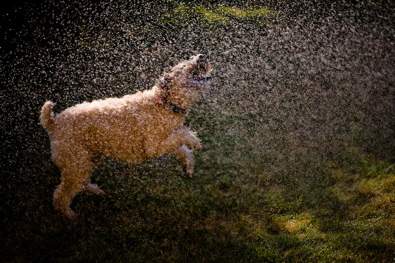 Water fighter