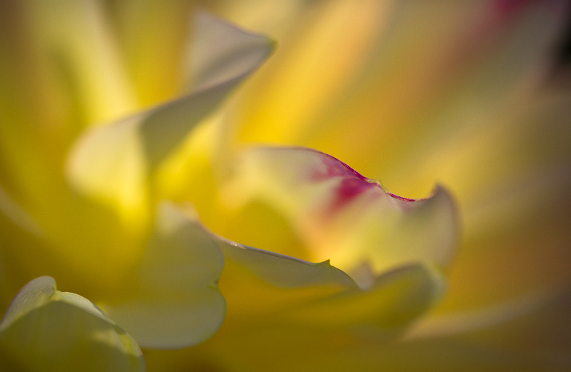 Touch me softly with your soul