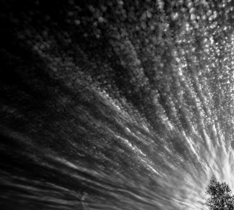 Explosive power of life