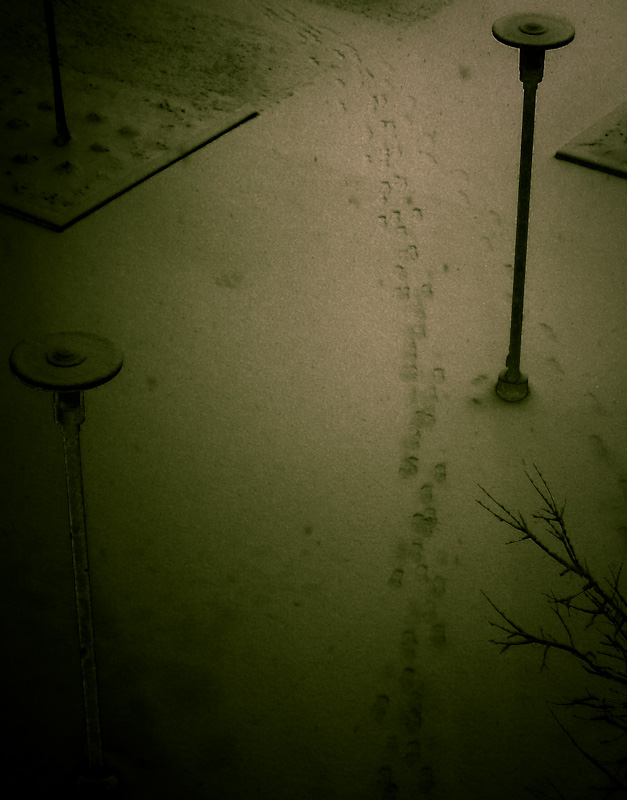 Snow path