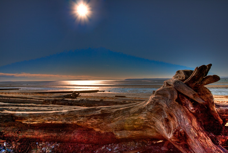 Log on Crescent Beach
