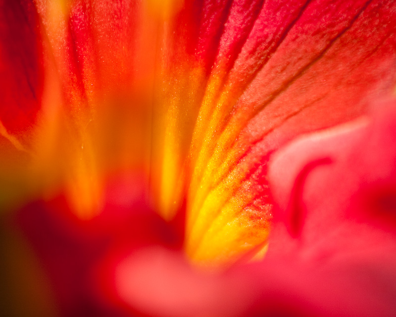 Eruption
