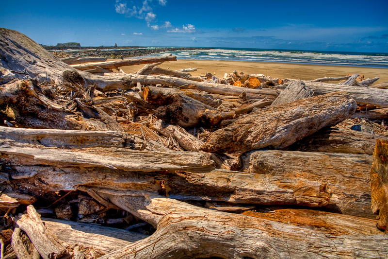 Beach logs, Coquille River, Oregon Coast