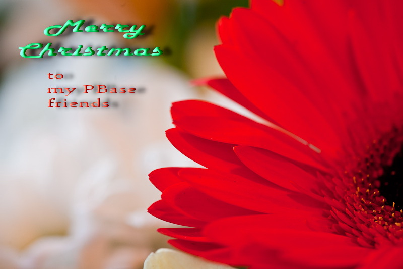 Merry Christmas to you and your loved ones