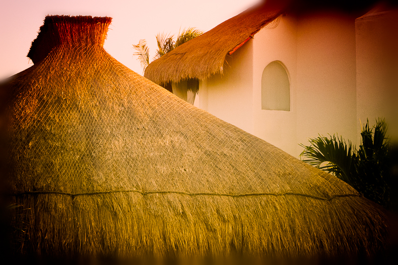Window and roof