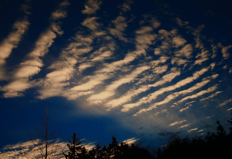 Striated sky