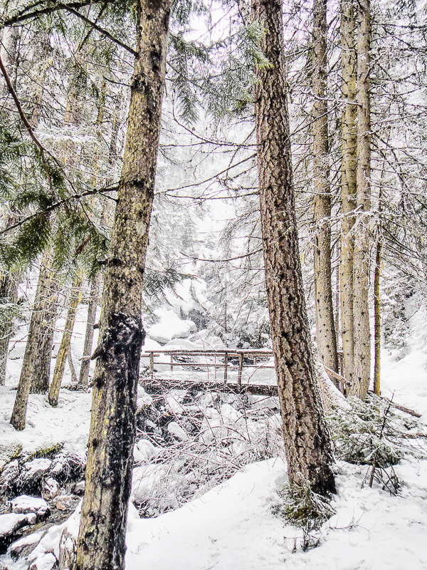 Bridge, frozen fall and creek