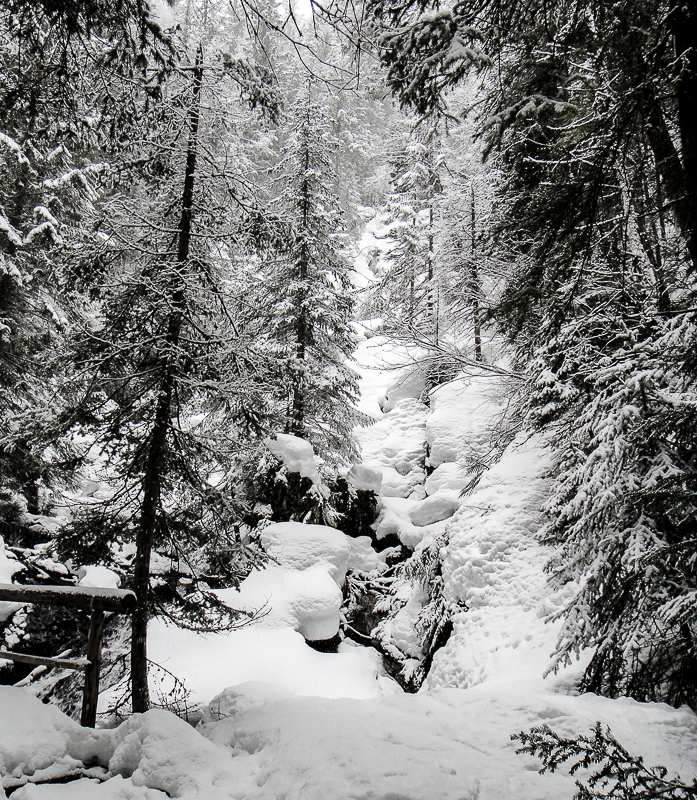 Frozen waterfall in Glacier Wilderness Resort
