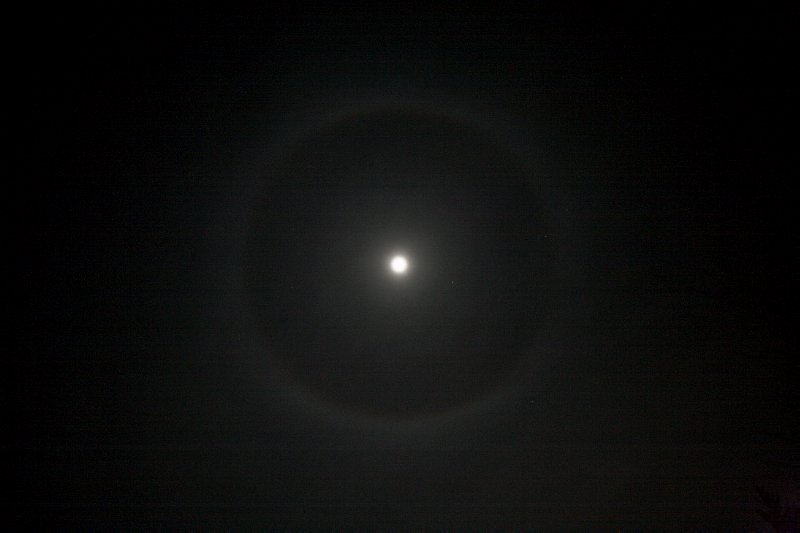 Moon Ring