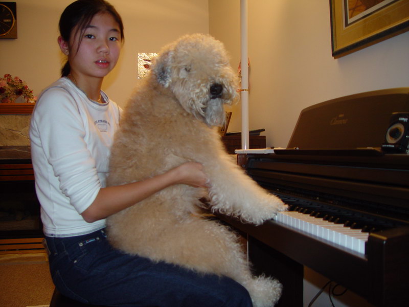 Misty Learning to Play Piano