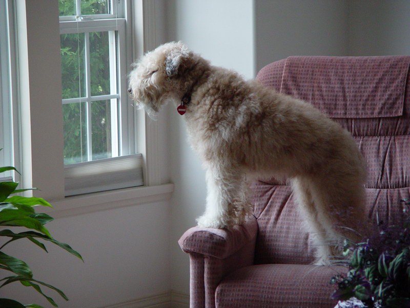 Waiting for her mom to come home
