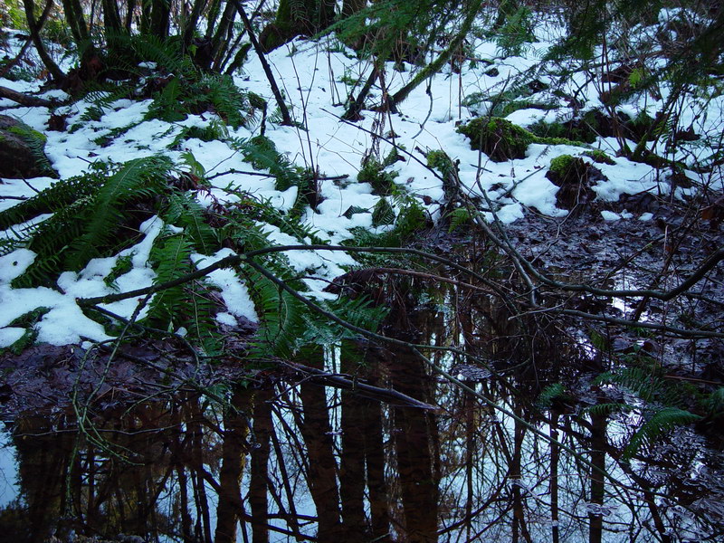 Snow and Reflection