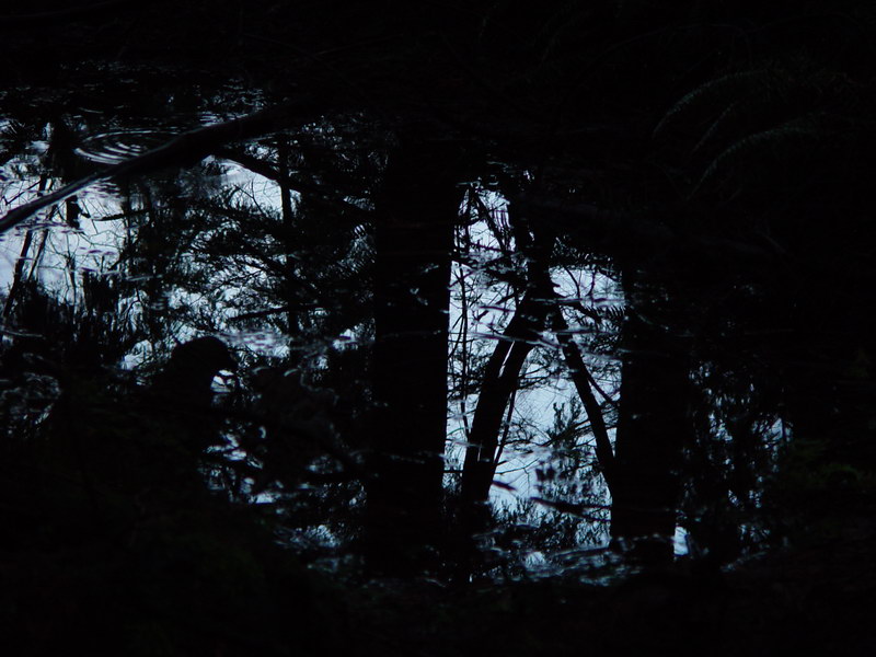Reflection