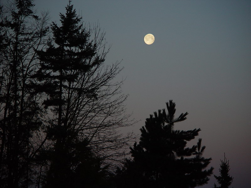 Quiet Night
