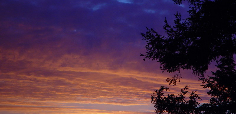 Orange and Blue