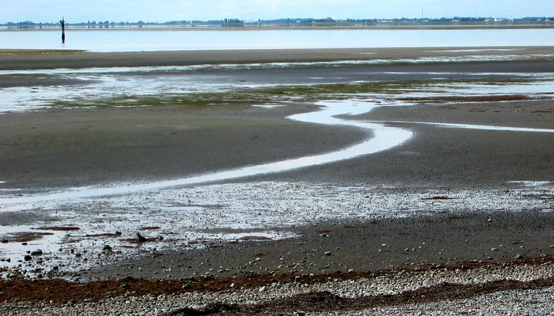 Low Tide