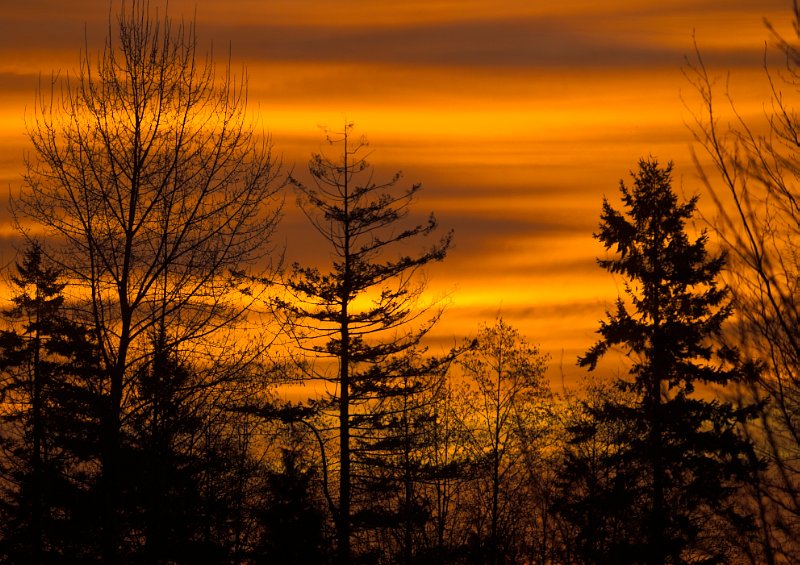 Dawn of a New Day