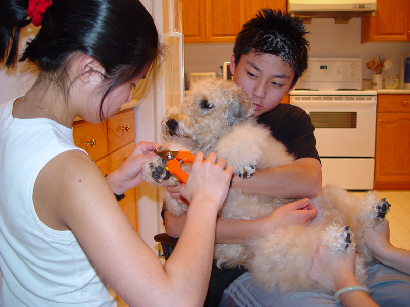 Nail Spa is a Family Event