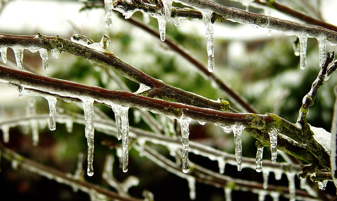 Ice Drops