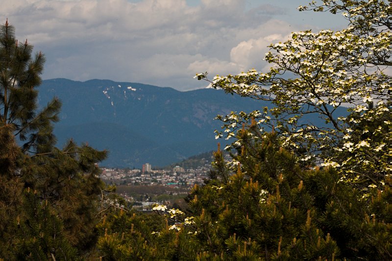 Vancouver in Spring