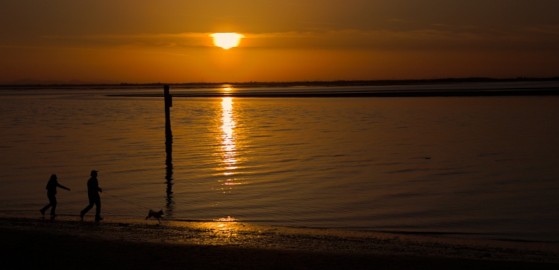 An Evening Stroll with the Dog
